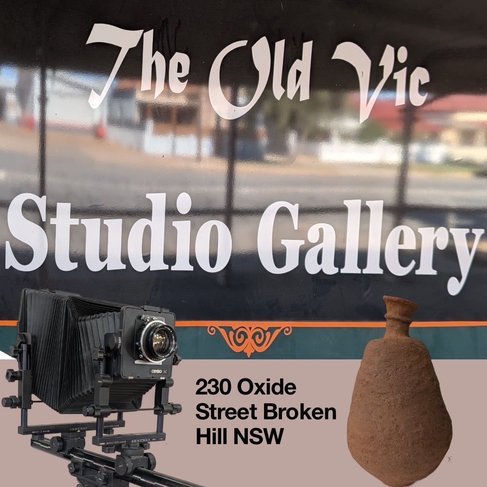 The old vic colour logo